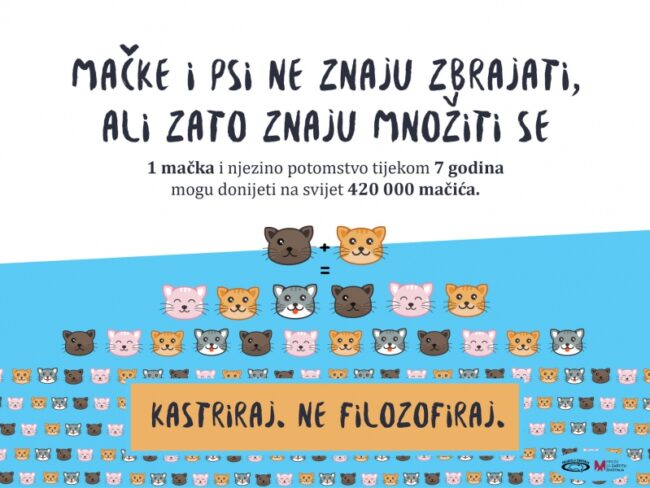 169717523_813642629235504_3613140764542465435_n (1)