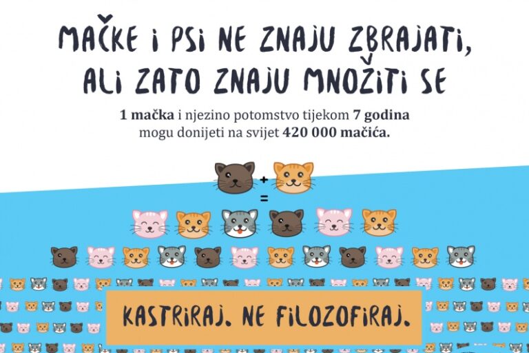 169717523_813642629235504_3613140764542465435_n (1)